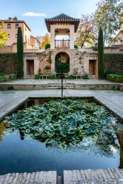 Alhambra Sarayı - havuz ve bahçe. Alhambra Sarayı Bahçeleri, UNESCO Dünya Mirası Alanı, Granada, Endülüs, İspanya