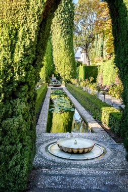 Alhambra 'daki General' in bahçesindeki detaylar. Granada, İspanya