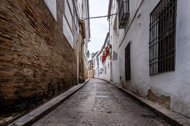 Cordoba 'da tipik bir dar sokak. Renkli saksılarla süslenmiş beyaz duvarları olan eski binalar.