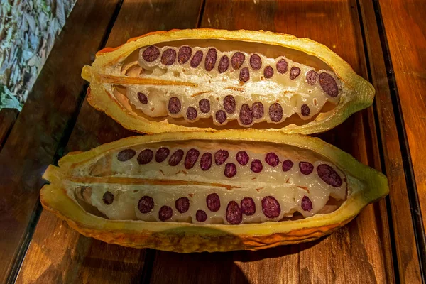 Kesilen Meyvelerin Üzerinde Kakao Tohumları — Stok fotoğraf