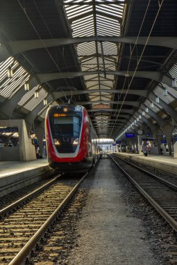 Zürih Merkez İstasyonu veya Zürih Merkez İstasyonu İsviçre 'nin en büyük tren istasyonudur.