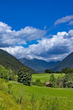 Avusturya Alplerindeki Tyrol 'daki yeşil vadi manzarası