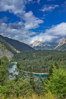 Avusturya Alplerindeki Tyrol 'daki yeşil vadi manzarası
