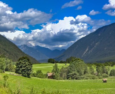 Avusturya Alplerindeki Tyrol 'daki yeşil vadi manzarası