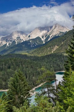 Avusturya Alplerindeki Tyrol 'daki yeşil vadi manzarası