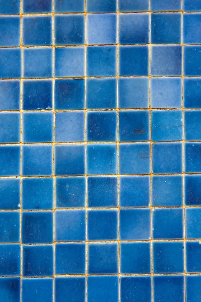 Detail Blue Tiles — Stock Photo, Image
