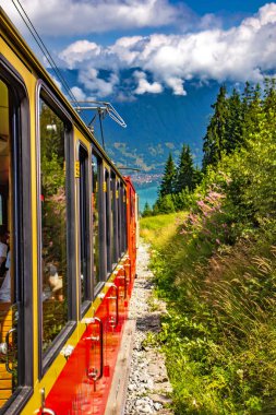 Schynige Platte Demiryolu İsviçre 'nin Bernese Highlands bölgesinde bulunan bir dağ demiryoludur.