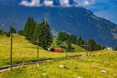 Schynige Platte Demiryolu İsviçre 'nin Bernese Highlands bölgesinde bulunan bir dağ demiryoludur.