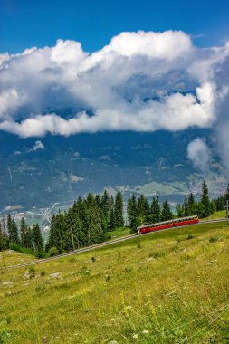 Schynige Platte Demiryolu İsviçre 'nin Bernese Highlands bölgesinde bulunan bir dağ demiryoludur.