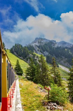 Schynige Platte Demiryolu İsviçre 'nin Bernese Highlands bölgesinde bulunan bir dağ demiryoludur.