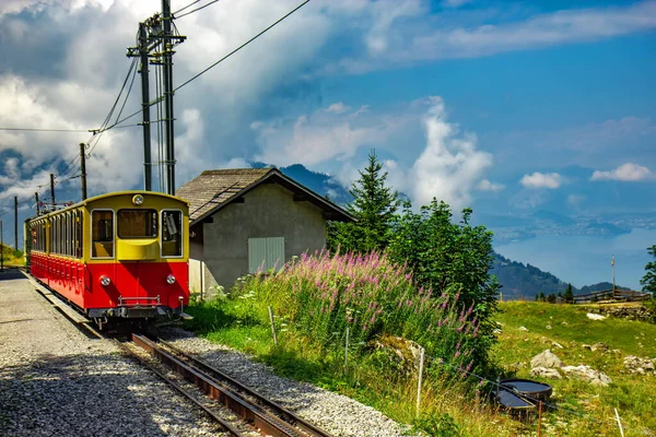 Schynige Platte Demiryolu İsviçre 'nin Bernese Highlands bölgesinde bulunan bir dağ demiryoludur.
