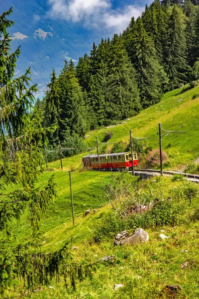 Schynige Platte Railway Kolejka Górska Terenie Berneńskich Highlands Szwajcarii — Zdjęcie stockowe