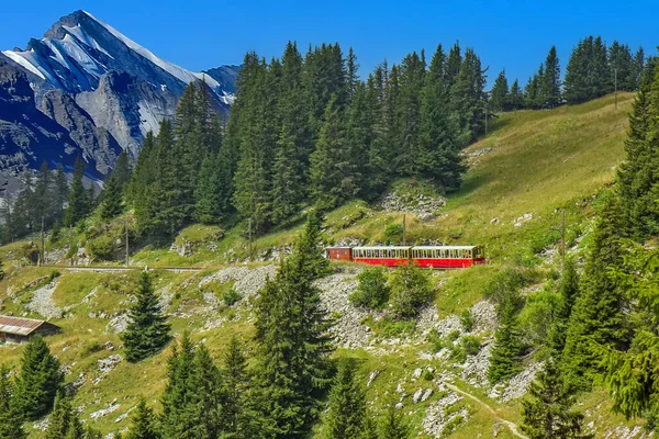 Schynige Platte Railway Mountain Railway Bernese Highlands Area Switzerland — Stock Photo, Image