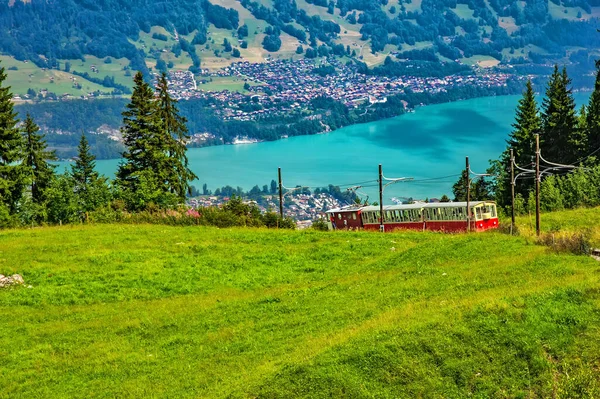 Schynige Platte Railway Гірська Залізниця Бернському Нагір Швейцарія — стокове фото