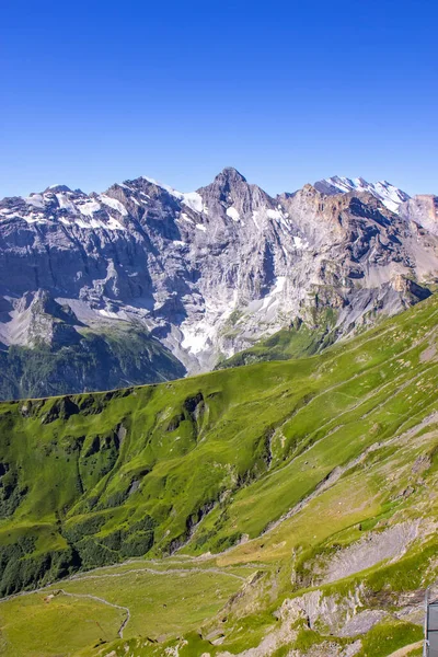 Vista Sulle Alpi Svizzere Sul Ghiacciaio Jungfrau — Foto Stock