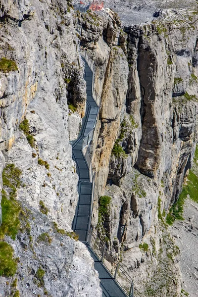 Swiis Alplerindeki Asılı Köprünün Manzarası — Stok fotoğraf