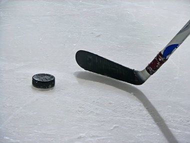 Buz pistindeki buz hokeyi diski - detay