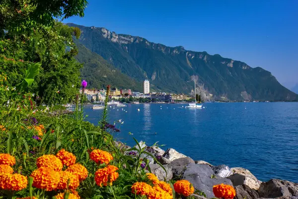 Serene Montreux: Göl ve Dağ Manzaraları - İsviçre