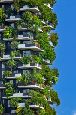 The Bosco Verticale (Vertical Forest) is a complex of two residential skyscrapers in Milan, Italy clipart