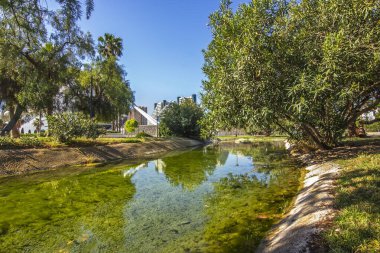 Valencia Park, İspanya 'da Kentsel Geçmişli Serene Pond