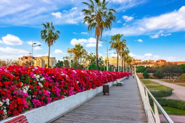 Valencia, İspanya 'daki Çiçek Köprüsü manzarası