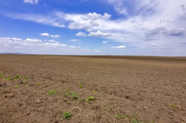 Bereketli ekilebilir arazi, tarıma hazır, parlak ve sakin bir gökyüzünün altında.