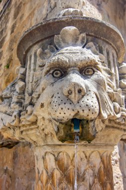 Kısaca özetlemek gerekirse, tarihi Dubrovnik, Croati 'nin merkezinde yer alan, ağzından su akan, aslan şeklinde taş bir çeşmenin yakın çekimi.