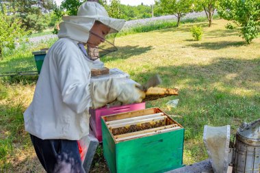 Koruyucu giysili bir arı yetiştiricisi kovandaki arılarla dolu bir çerçeveyi inceliyor. Etkinlik doğayla çevrili yeşil, güneşli bir ortamda gerçekleşiyor..