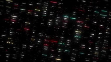 Büyük Veri Dijital İşletmeleri Hitech Soyut bir duvar kağıdının 4k animasyonu Büyük bir veri iş dünyası dijital teknolojisi arkaplanı Bağlı hatlar ve alan derinliği ile akan sayı matrisi