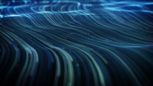 Rezumat Swirling Flowing Lines Fundal Animație Unui Fundal Abstract Tehnologie — Videoclip de stoc