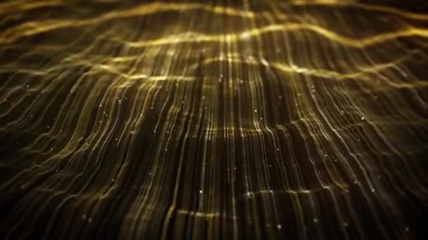 金涡旋与流动线背景 4K抽象金色壁纸技术背景动画 采用环境遮挡和场深度表示数据流和数据流 — 图库视频影像