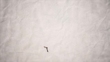 Eski yırtık kağıt arkaplan üzerinde insan kafası profili ve beyin şekilleriyle bir hareket grafiklerinin klasik Ink çizimi / 4k animasyonu