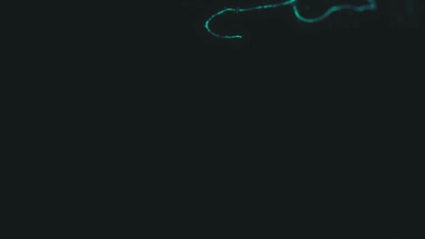 Glow Distorted Light String Animatie Van Een Abstracte Gloeiende Lichtgloeidraad — Stockvideo
