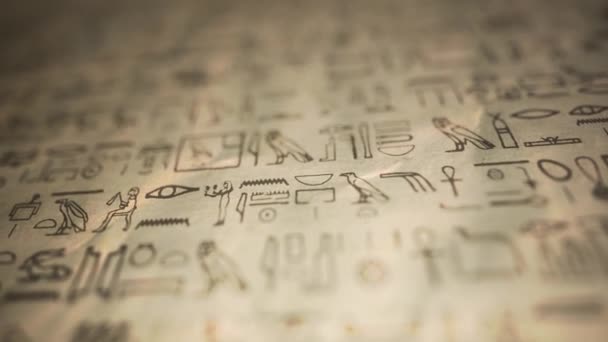 古代の粒状の紙のテクスチャとフィールドブラーの深さとヴィンテージエジプトの象形文字の背景の背景 4Kの動きのグラフィック — ストック動画