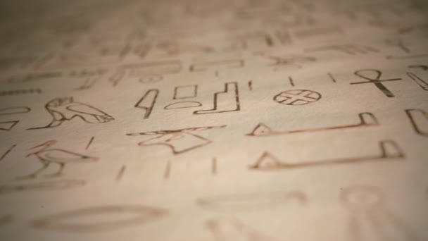 古埃及象形文字的背景 4K运动图形古埃及象形文字的背景 具有古老的纸纹质感和字段模糊的深度 — 图库视频影像