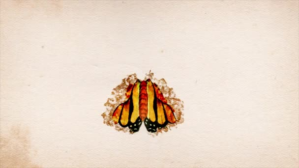 Retro Butterfly Çizim Mürekkebi Reveal Hareket Grafikleri Çizilmiş Kelebek Böcek — Stok video