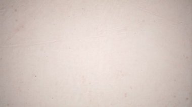 Aranıyor Ölü ya da Diri Batı Filmi Arkaplan / 4k animasyon ölü ya da diri 100 milyon nakit ödül ve grunge desenli eski bir afiş aranıyor