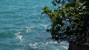 Deniz dalgaları kayalarda kırılıyor. Deniz dalgaları kayalarda kırılıyor. Karadeniz kıyısında..