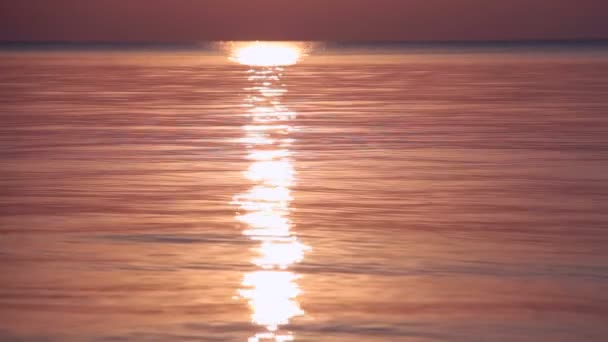 劇的な夜明け 水の滑らかな表面上の太陽ディスク — ストック動画