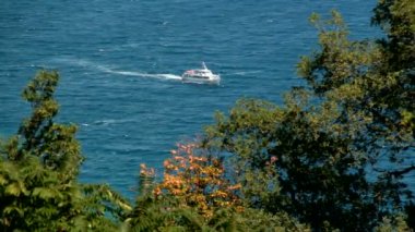 Yolcu gemisi denize açılacak. Ağaçların yaprakları arasından hava manzarası. Beyaz gemi denizde. Karadeniz. Kırım.