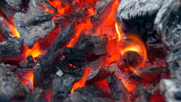 Kayu Terbakar Dekat Barbekyu Panggang Api Fenomenon Alami Barbekyu Memasak — Stok Video