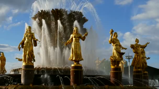 人民友谊之泉 俄罗斯联邦莫斯科 美丽的地标 是人们友谊的源泉 — 图库视频影像