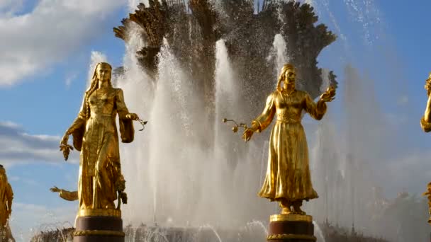 Brunnen Der Völkerfreundschaft Moskau Russische Föderation Schönes Wahrzeichen Als Brunnen — Stockvideo