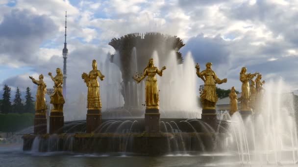 人民友谊之泉 俄罗斯联邦莫斯科 美丽的地标 是人们友谊的源泉 — 图库视频影像
