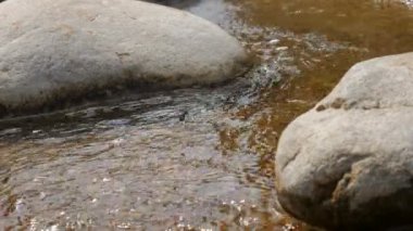 Akıntıda kayalar ve pürüzsüz su.