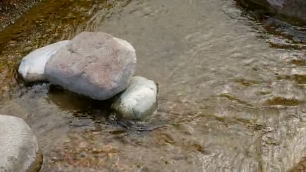 Stones Stream Smooth Flowing Water — 비디오