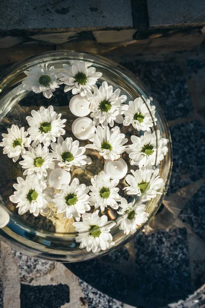 White Flowers Floating Clear Water Stock Picture