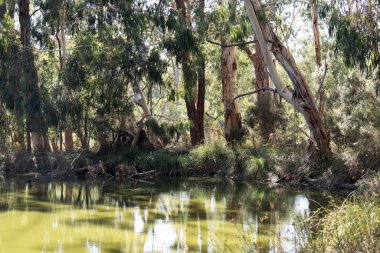 Bu bir Bill-a-Bong 'un panaromik görüntüsü.