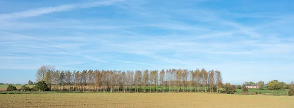 Céu Azul Sobre Paisagem Rural Outono Com Árvores Sul Mons — Fotografia de Stock