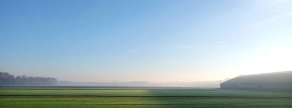 misty field near forest and farm barn at zeewolde in dutch province of flevoland on early moring in the fall